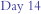 Day 14